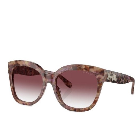 NWT COACH PETAL TORTOISE L1083 SUNGLASSES & CASE - Picture 3 of 15